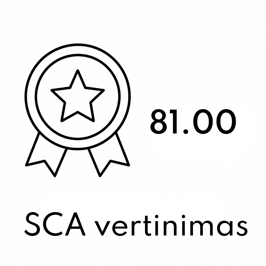 SCA vertinimas